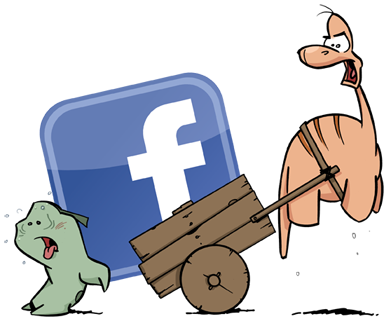 Facebook Fanpage